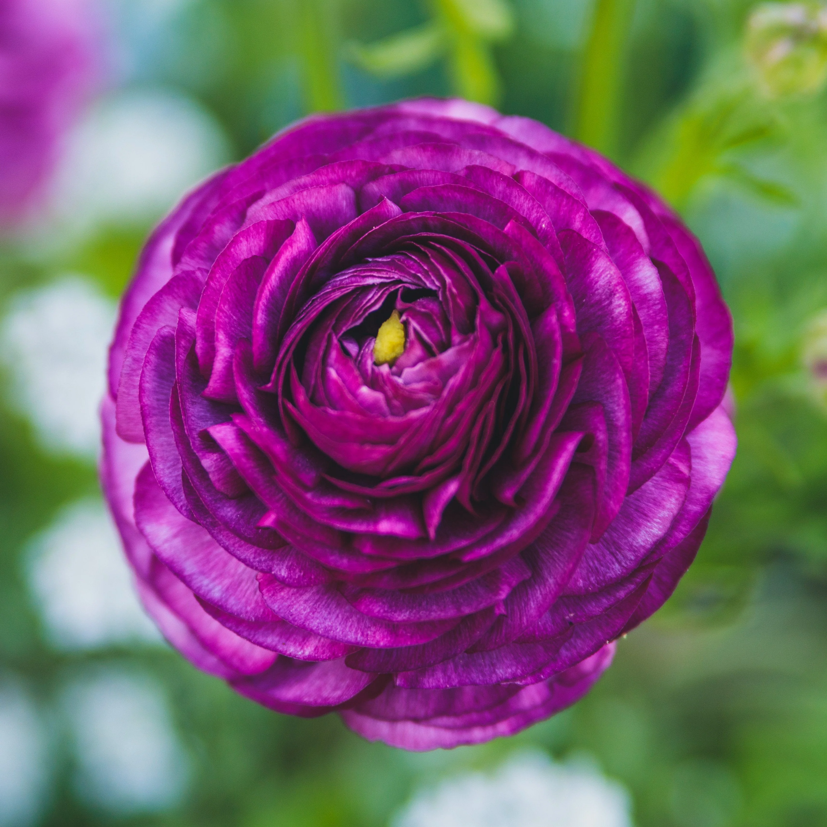 Cool & Calming Colors
